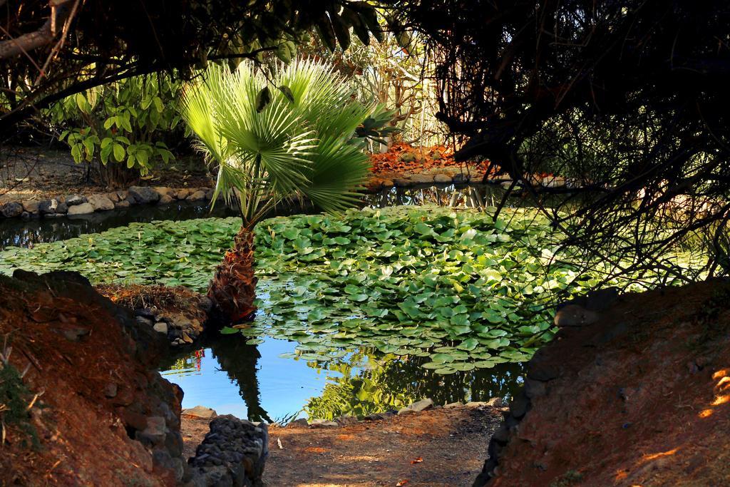 Apartments Finca El Rincon La Orotava Luaran gambar