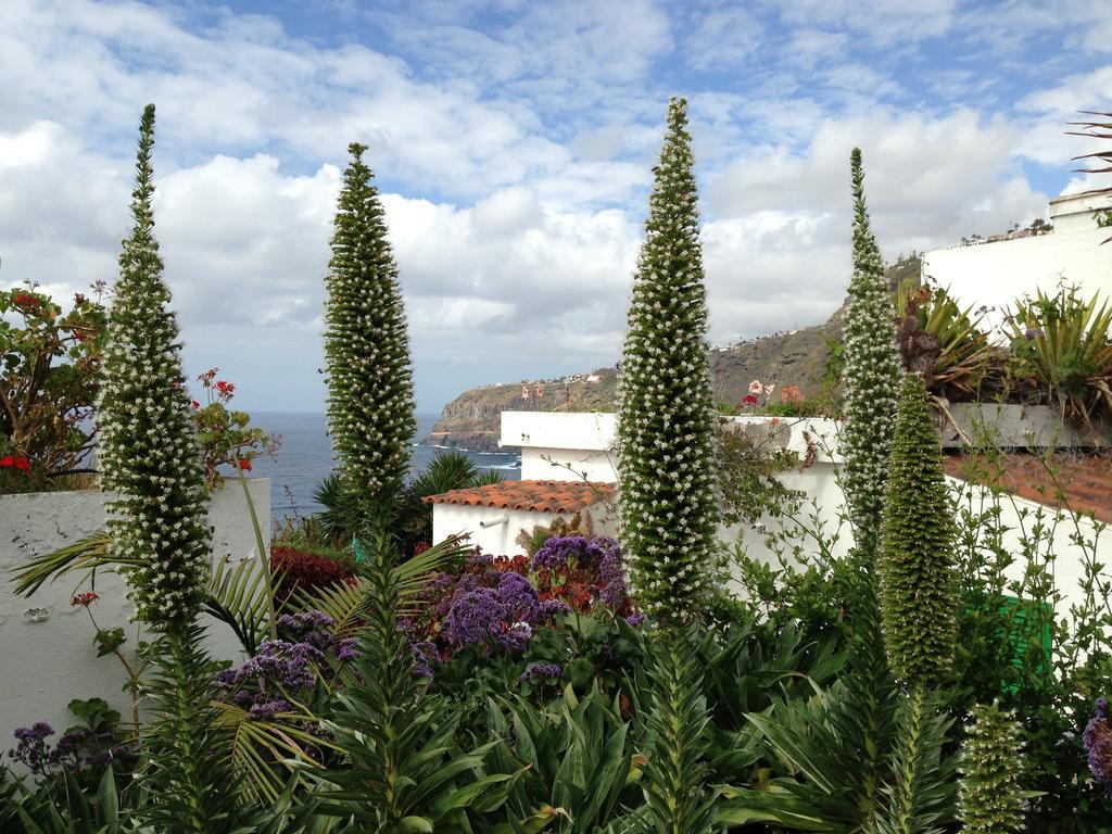 Apartments Finca El Rincon La Orotava Bilik gambar